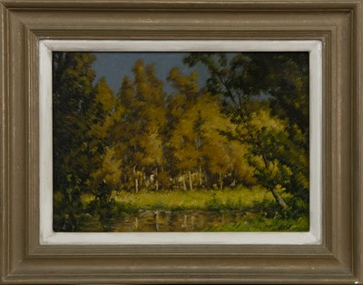Lot 170 - TREES BY A STREAM, AUTUMN, AN OIL BY DAVID MURRAY