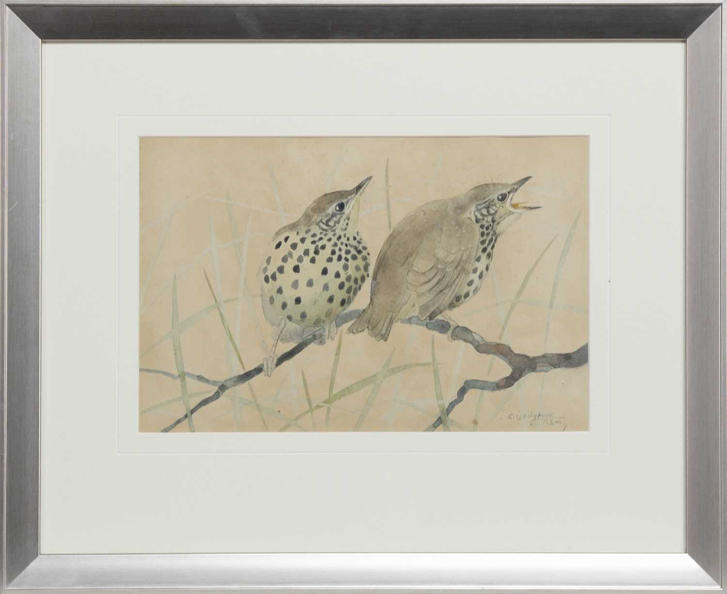 Lot 303 - PAIR OF THRUSHES, A WATERCOLOUR BY RALSTON GUDGEON