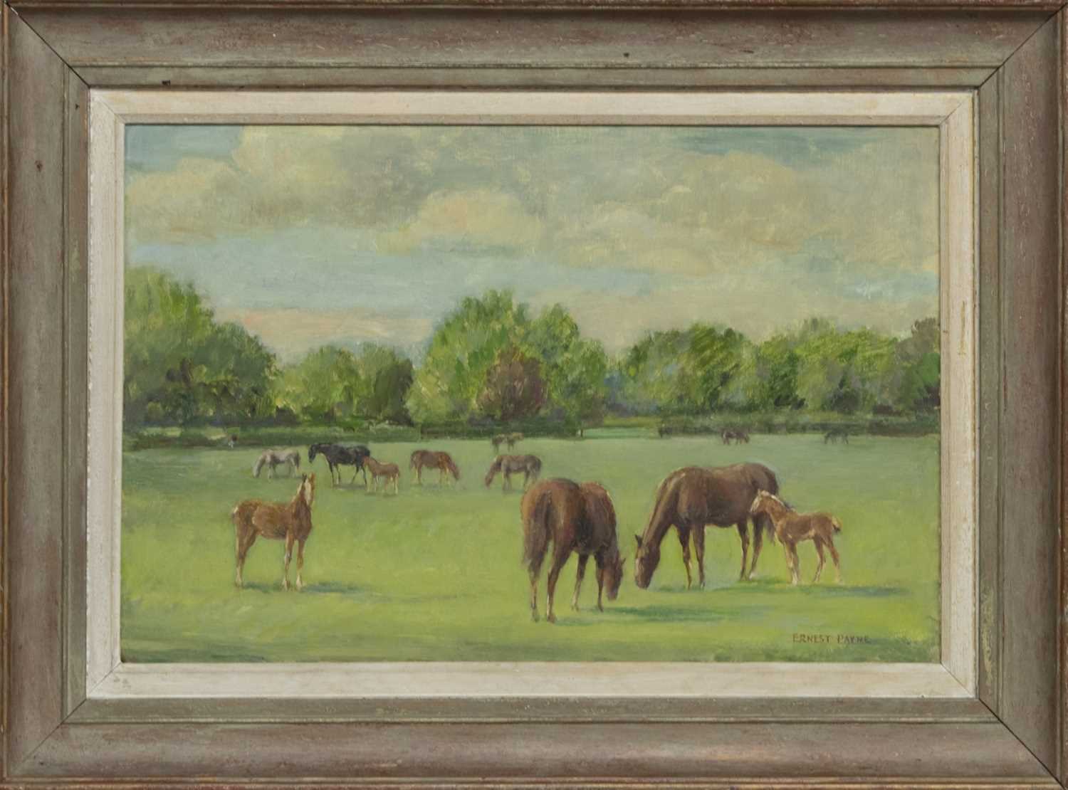 Lot 288 - HORSES GRAZING, AN OIL BY ERNEST PAYNE