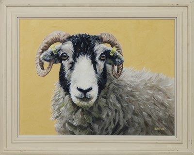 Lot 106 - BAA BAA YELLOW SHEEP, AN OIL BY LYNNE JOHNSTONE