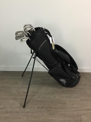 Lot 265 - A LOT OF VARIOUS GOLF CLUBS CONTAINED IN TWO GOLF BAGS