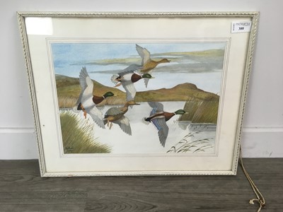 Lot 380 - MALLARDS, SIGNED J. HOLDEN