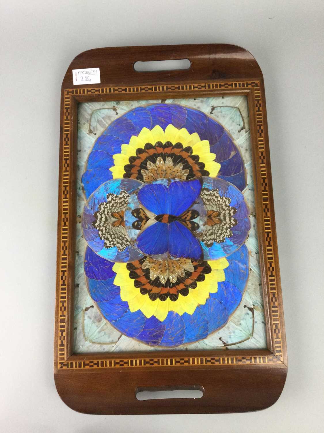 Lot 285 - A BUTTERFLY WING TRAY