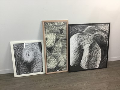 Lot 665 - A LOT OF THREE GRAPHITE STUDIES BY ROSANN CHEROBINI