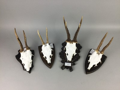 Lot 673 - A LOT OF FOUR TAXIDERMY SKULLS