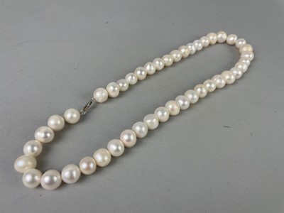 Lot 82 - A SINGLE STRAND PEARL NECKLACE