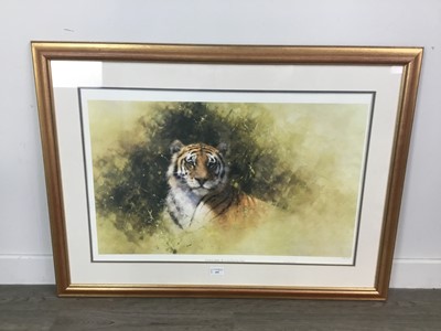 Lot 495 - TIGER STUDY AFTER DAVID SHEPHERD