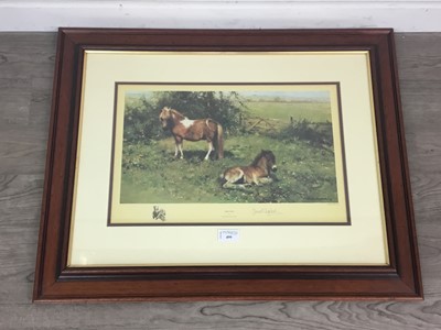 Lot 499 - SHELTIES AFTER DAVID SHEPHERD