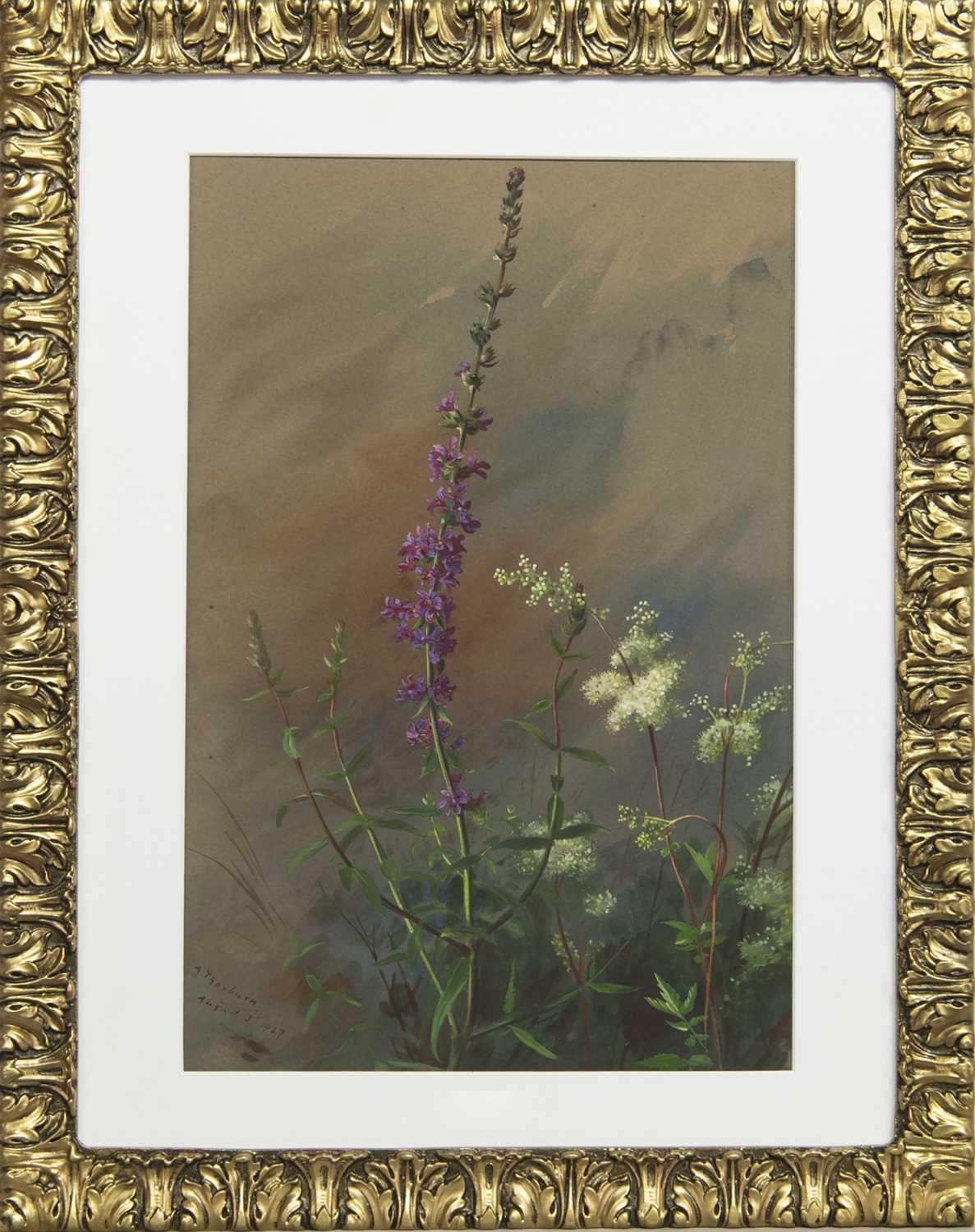 Lot 380 - MEADOWSWEET AND PURPLE LOOSESTRIFE, A WATERCOLOUR BY ARCHIBALD THORBURN