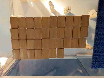 Lot 1083 - A LATE 19TH/EARLY 20TH CENTURY CHINESE MAHJONG SET