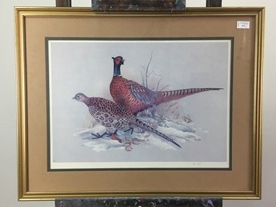 Lot 375 - A SERIES OF ORNITHOLOGICAL PRINTS