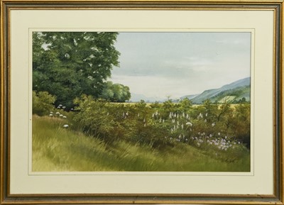 Lot 331 - SUMMER LANDSCAPE A GOUACHE BY EVE COOTE