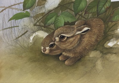 Lot 353 - BUNNIES AND DEER, TWO GOUACHES BY EVE COOTE