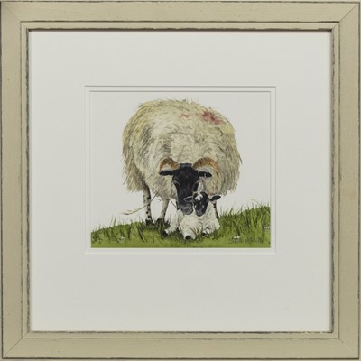 Lot 54 - CLOVERHILL BLACKIE AND LAMB, A WATERCOLOUR BY SUSAN MITCHELL