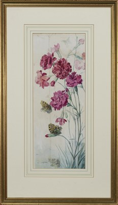 Lot 168 - WILD CARNATIONS, A WATERCOLOUR BY KATE CAMERON