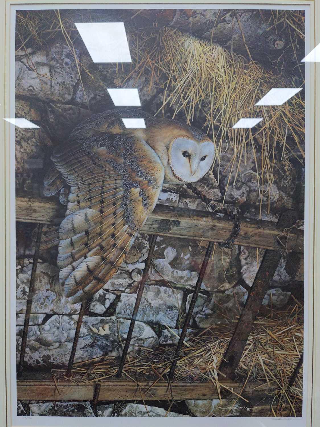 Lot 205 - A LIMITED EDITION PRINT AFTER CARL BRENDERS