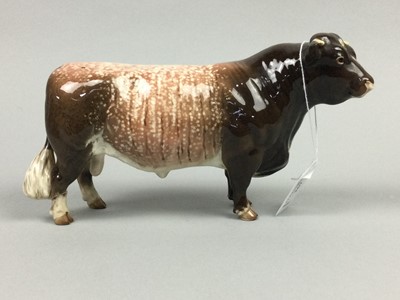 Lot 367 - A BESWICK CH GWYERSYLT LORD OXFORD 74TH BULL