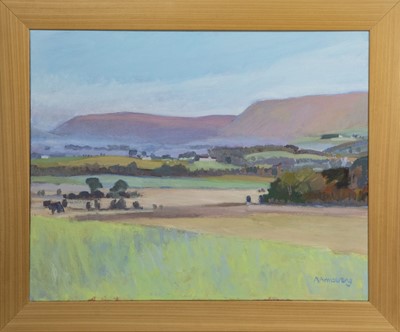 Lot 156 - TOWARDS THE CAMPSIES, AN OIL BY ANN ARMSTRONG