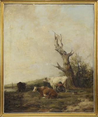 Lot 320 - CATTLE BY THE TREE, AN OIL BY JAMES DUFFIELD HARDING