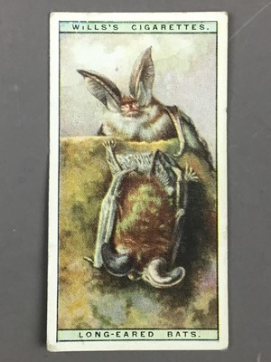 Lot 164 - A COLLECTION OF CIGARETTE CARDS