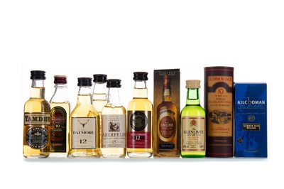 Lot 17 - 10 ASSORTED WHISKY MINIATURES - INCLUDING SINGLETON OF AUCHROISK 1976