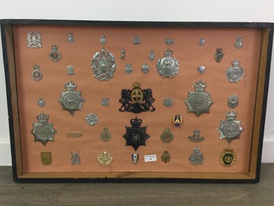 Lot 20 - A DISPLAY OF VARIOUS POLICE CONSTABULARY BADGES