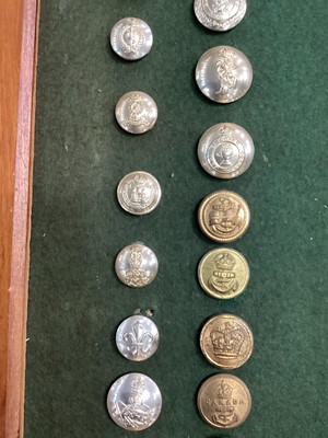 Lot 24 - A DISPLAY OF MILITARY BUTTONS AND LAPEL BADGES