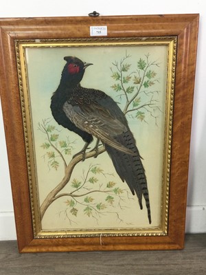 Lot 715 - A PAIR OF VICTORIAN ORNITHOLOGICAL FEATHER PICTURES