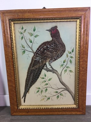 Lot 715 - A PAIR OF VICTORIAN ORNITHOLOGICAL FEATHER PICTURES