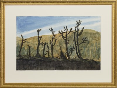 Lot 324 - CUSCO CACTUS, MEXICO, A WATERCOLOUR BY ROBERT SAWYERS