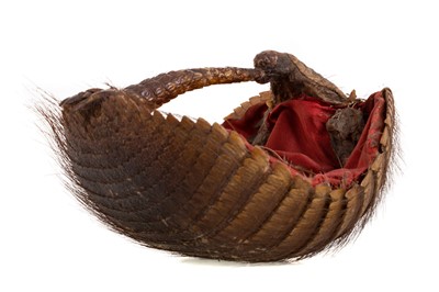 Lot 509 - A LATE 19TH/EARLY 20TH CENTURY TAXIDERMY ARMADILLO BASKET