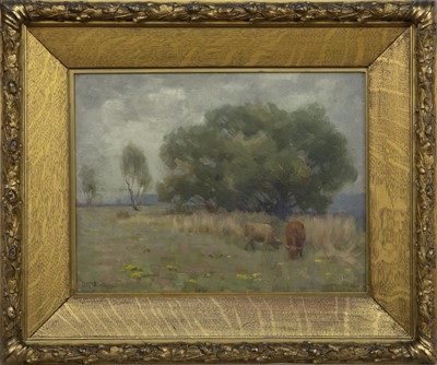 Lot 379 - CATTLE GRAZING, AN OIL BY DUNCAN MACGREGOR WHYTE