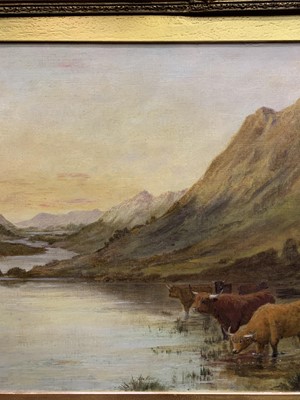 Lot 324 - HIGHLAND CATTLE IN A SCOTTISH LANDSCAPE, AN OIL BY DOUGLAS CAMERON