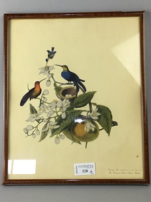 Lot 328 - A GROUP OF SIX BOTANICAL AND BIRD COLOUR PRINTS