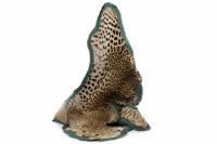 Lot 1036 - 20TH CENTURY LEOPARD SKIN with whiskers and...