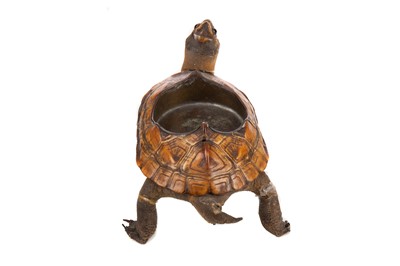 Lot 587 - AN EARLY 20TH CENTURY TORTOISE TAXIDERMY ASHTRAY