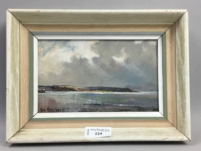 Lot 229 - A COASTAL VIEW OIL BY DON MICKLETHWAITE