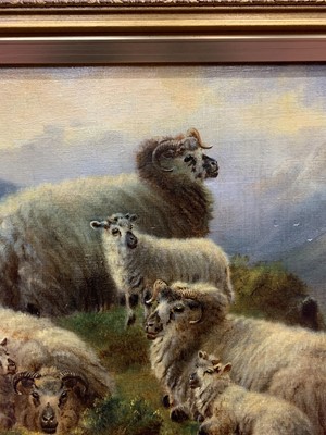 Lot 266 - HIGHLAND SHEEP, AN OIL BY WILLIAM HENRY WATSON