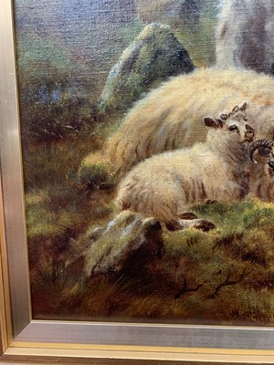 Lot 266 - HIGHLAND SHEEP, AN OIL BY WILLIAM HENRY WATSON