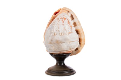 Lot 593 - AN EARLY 20TH CENTURY CAMEO CONCH SHELL TABLE LAMP