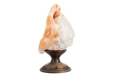 Lot 593 - AN EARLY 20TH CENTURY CAMEO CONCH SHELL TABLE LAMP
