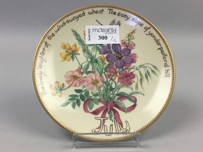 Lot 300 - A GROUP OF DAVENPORT CABINET PLATES