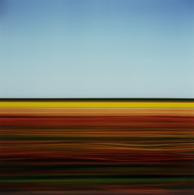 Lot 295 - TRAVELLING STILL, TULIP FIELDS XCII, HOLLAND 2006, A PRINT BY ROB CARTER
