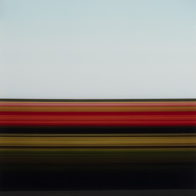 Lot 297 - TRAVELLING STILL, TULIP FIELDS XXIV, HOLLAND 2006, A PRINT BY ROB CARTER