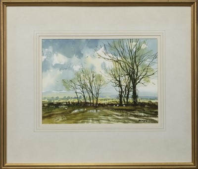 Lot 14 - SUNSHINE AFTER RAIN, CARSE OF GOWRIE, A WATERCOLOUR BY DOUGLAS PHILLIPS