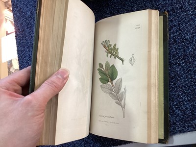 Lot 655 - SOWERBY'S ENGLISH BOTANY