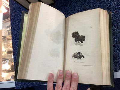 Lot 655 - SOWERBY'S ENGLISH BOTANY