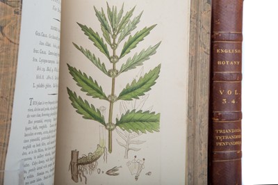 Lot 656 - SOWERBY'S ENGLISH BOTANY IN 19 VOLS.