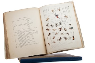 Lot 657 - BLACKWALL'S SPIDERS OF GREAT AND IRELAND
