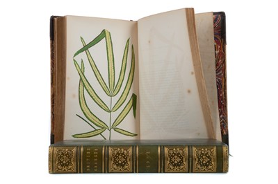 Lot 663 - LOWE'S BEAUTIFUL LEAVED PLANTS and NATURAL HISTORY OF BRITISH GRASSES